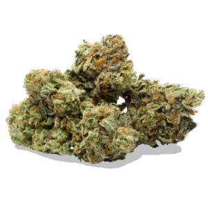 Master Kush
