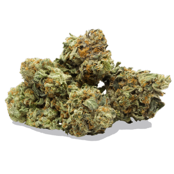 Master Kush