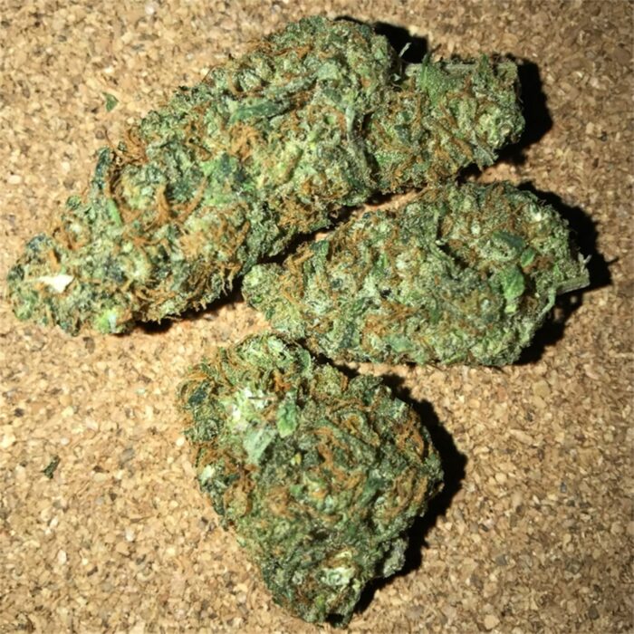 Bubble Gum - Image 1