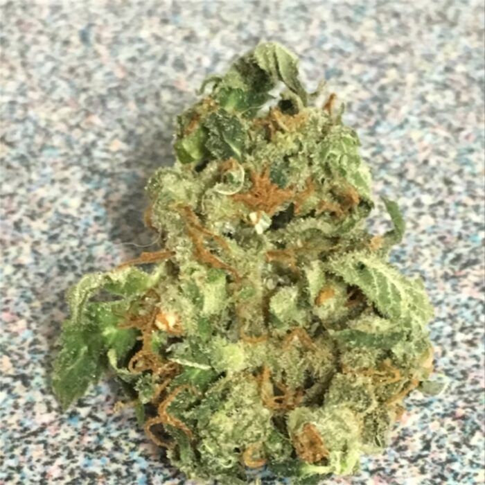 Casey Jones - Image 1