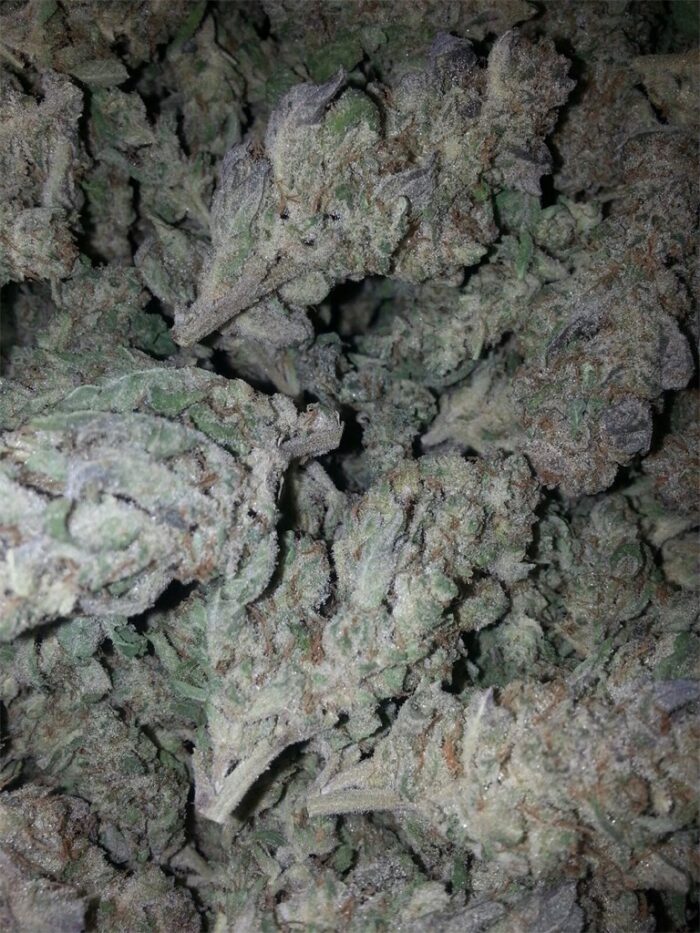 Khalifa Kush - Image 1