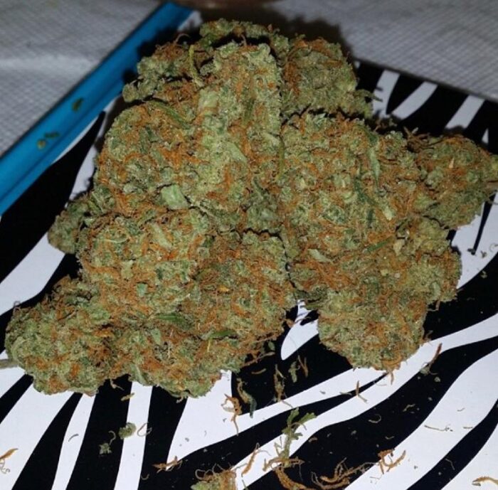 BUBBA KUSH - Image 1