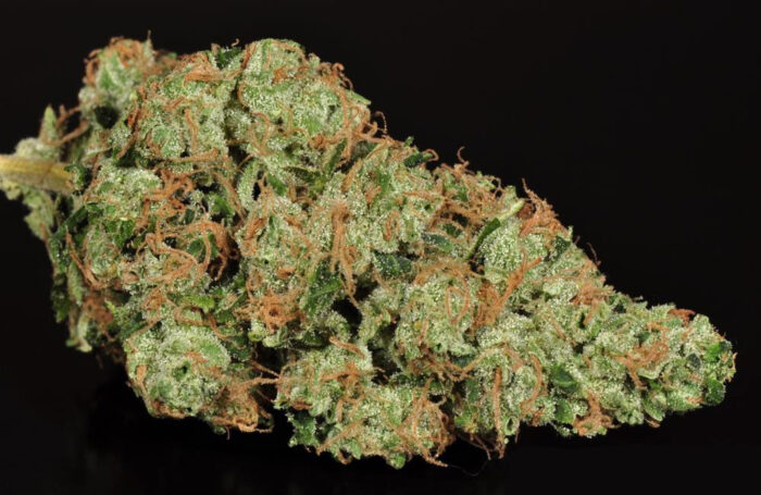 Buy Sour Diesel Online - Image 1